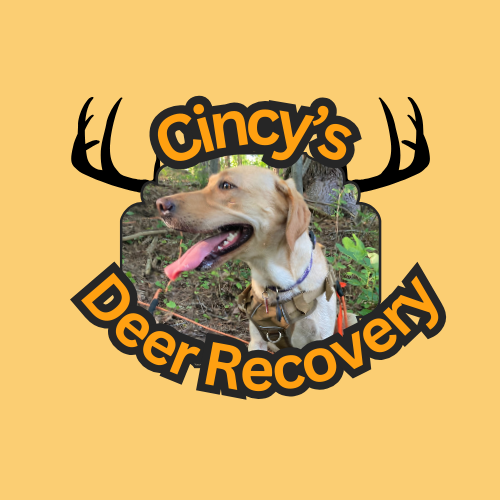 Cincy’s Deer Recovery