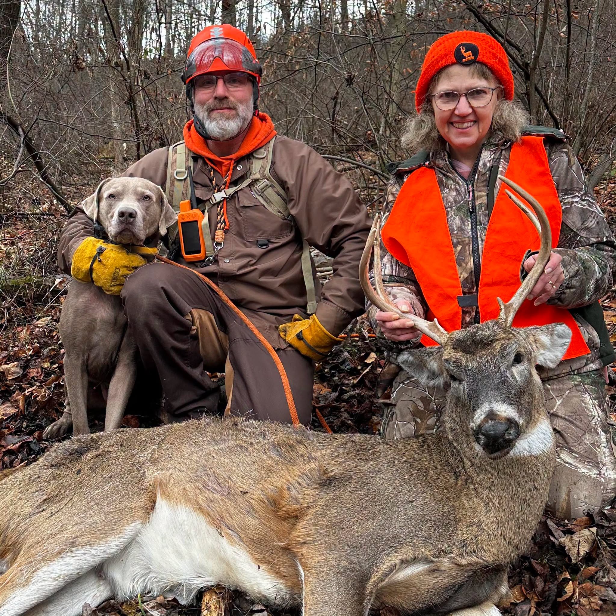 Southern Alleghenies Whitetail Recovery